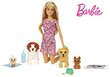 Barbie™ nukk kutsuga FXH08 цена и информация | Tüdrukute mänguasjad | kaup24.ee