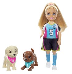 Barbie Jalgpallur Chelsea hind ja info | Tüdrukute mänguasjad | kaup24.ee