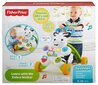 FP Sebra käimistugi hind ja info | Imikute mänguasjad | kaup24.ee