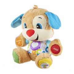 Fisher-Price L&L Smart Stages eestikeelne kutsupoiss цена и информация | Drewniana Wieża Piramida Kura Nakładanie Kolorowych Kwadratów LD-15 15276 | kaup24.ee