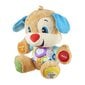 Fisher-Price L&L Smart Stages eestikeelne kutsupoiss hind ja info | Imikute mänguasjad | kaup24.ee