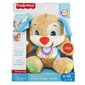 Fisher-Price L&L Smart Stages eestikeelne kutsupoiss hind ja info | Imikute mänguasjad | kaup24.ee