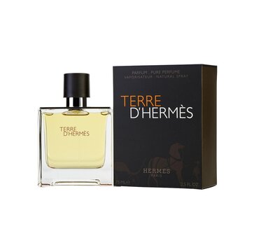 Hermes Terre D'Hermes EDP meestele 75 ml hind ja info | Meeste parfüümid | kaup24.ee