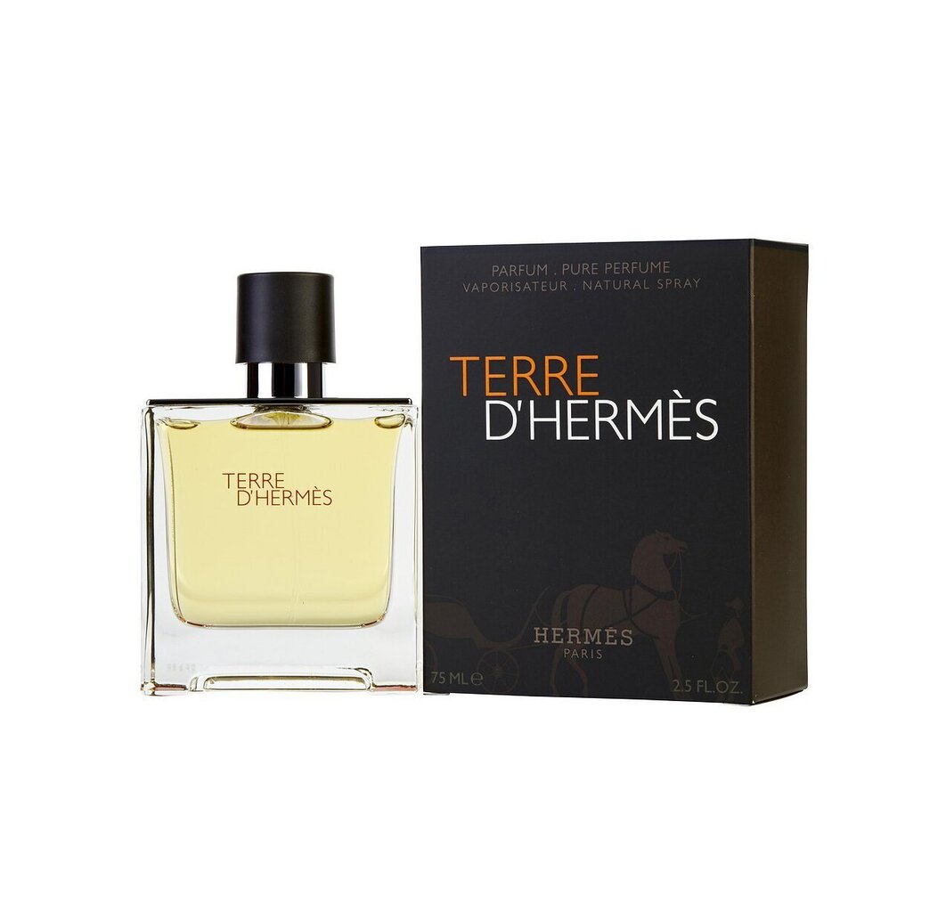 Hermes Terre D'Hermes EDP meestele 75 ml цена и информация | Meeste parfüümid | kaup24.ee