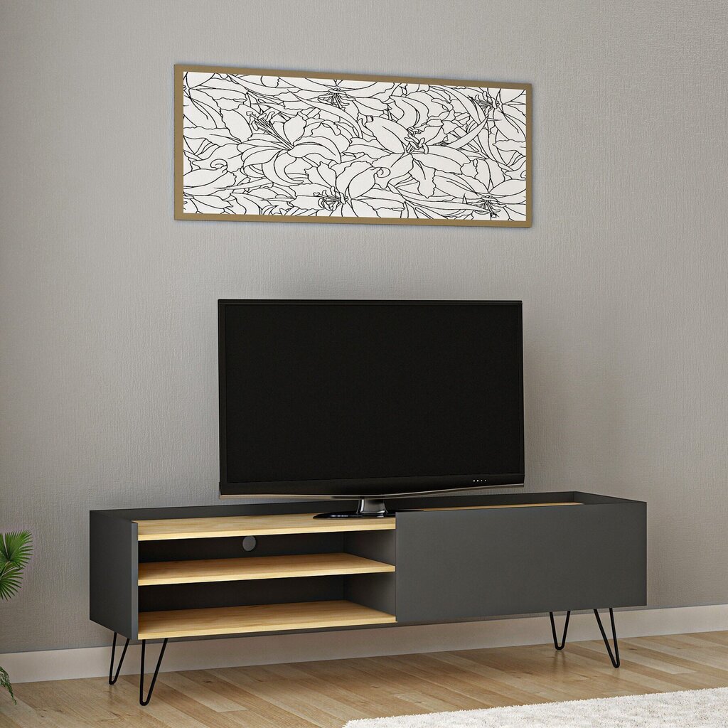 TV laud Kalune Design Veronica, tamm/hall hind ja info | TV alused | kaup24.ee