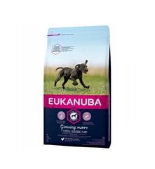 Eukanuba kuivsööt suurt tõugu kutsikatele kuni 12 kuud, värske kana, 15 kg цена и информация | Сухой корм для собак | kaup24.ee