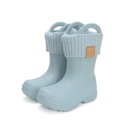 Детские резиновые сапоги D.D.Step I106-42876 Sea Green, разноцветные цена и информация | Детские сапоги | kaup24.ee