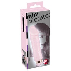 Mini vibraator "Mini Vibrator Pink" цена и информация | Вибраторы | kaup24.ee