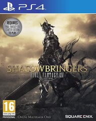 Final Fantasy XIV: Shadowbringers цена и информация | Компьютерные игры | kaup24.ee