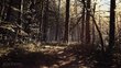 Blair Witch PS4 hind ja info | Arvutimängud, konsoolimängud | kaup24.ee