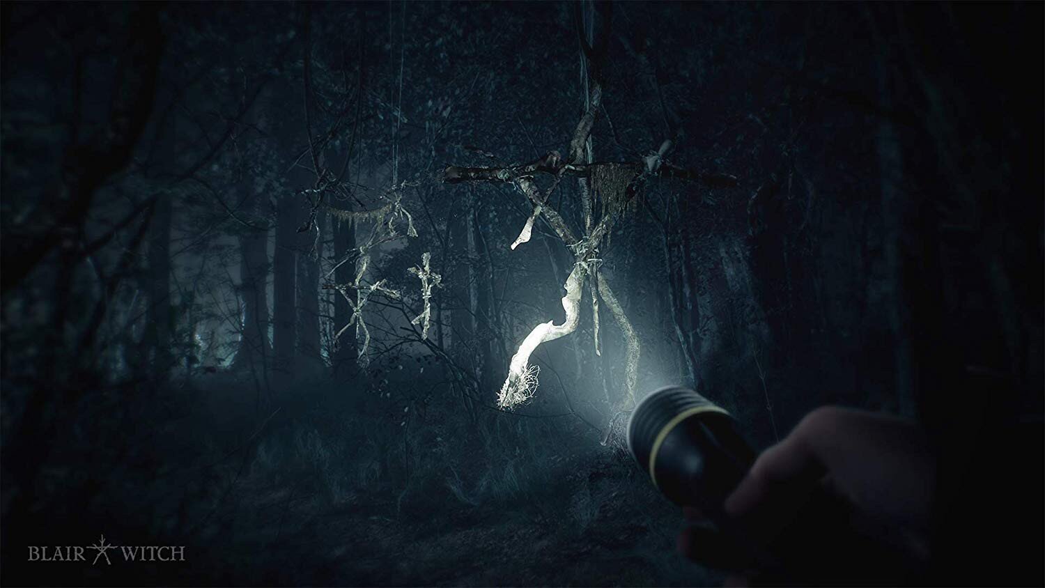 Blair Witch PS4 hind ja info | Arvutimängud, konsoolimängud | kaup24.ee