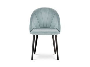 Комплект из 2-х стульев Milo Casa Livia, светло - синий цена и информация | Стулья для кухни и столовой | kaup24.ee