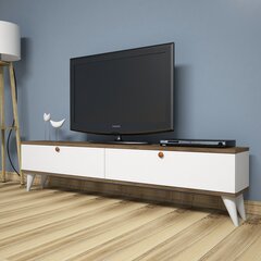 TV laud Kalune Design Paris, valge/pruun hind ja info | TV alused | kaup24.ee