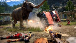 Far Cry 4 PS4 цена и информация | Компьютерные игры | kaup24.ee