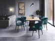 2 tooli komplekt Windsor and Co Elpis, helesinine цена и информация | Söögilaua toolid, köögitoolid | kaup24.ee