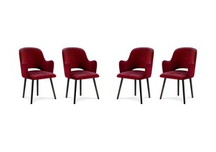 4-tooli komplekt Milo Casa Laelia, punane hind ja info | Söögilaua toolid, köögitoolid | kaup24.ee