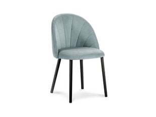 4-tooli komplekt Milo Casa Livia, helesinine hind ja info | Söögitoolid, baaritoolid | kaup24.ee