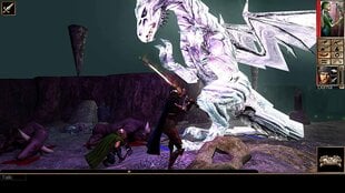 Neverwinter Nights Enhanced Edition Xbox One цена и информация | Компьютерные игры | kaup24.ee