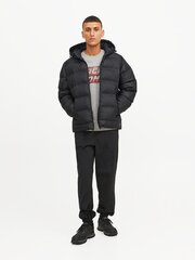 JACK&JONES - Meeste talvejope, JCOELEMENTS hind ja info | Meeste joped | kaup24.ee