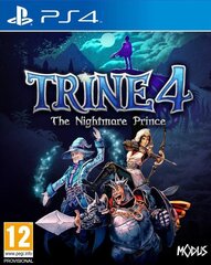 PS4 Trine 4: The Nightmare Prince цена и информация | Компьютерные игры | kaup24.ee