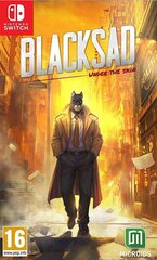 SWITCH Blacksad: Under the Skin Limited Edition цена и информация | Компьютерные игры | kaup24.ee