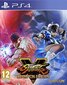 PS4 Street Fighter V: Champion Edition цена и информация | Arvutimängud, konsoolimängud | kaup24.ee