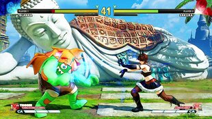 PS4 Street Fighter V: Champion Edition цена и информация | Компьютерные игры | kaup24.ee