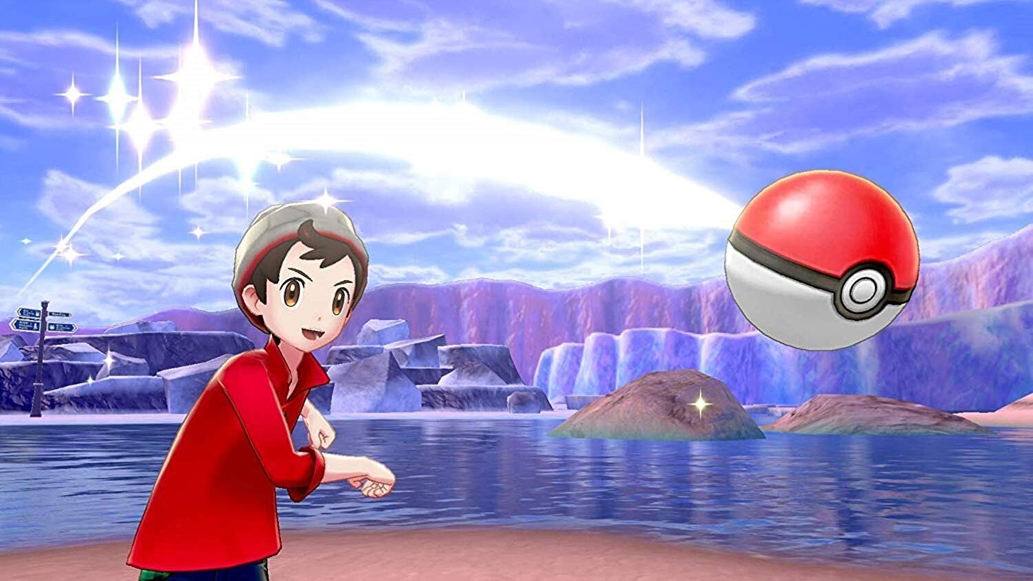 Pokemon Sword NSW hind ja info | Arvutimängud, konsoolimängud | kaup24.ee