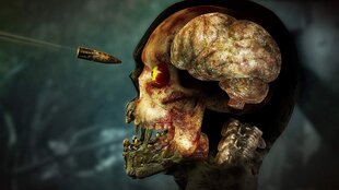 Xbox One Zombie Army 4: Dead War hind ja info | Arvutimängud, konsoolimängud | kaup24.ee