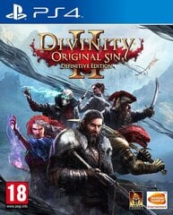 Divinity Original Sin 2: Definitive Edition, PS4 цена и информация | Компьютерные игры | kaup24.ee