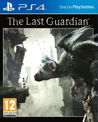 The Last Guardian PS4 hind ja info | Arvutimängud, konsoolimängud | kaup24.ee