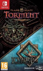 Planescape: Torment & Icewind Dale - Enhanced Edition (Switch) цена и информация | Компьютерные игры | kaup24.ee