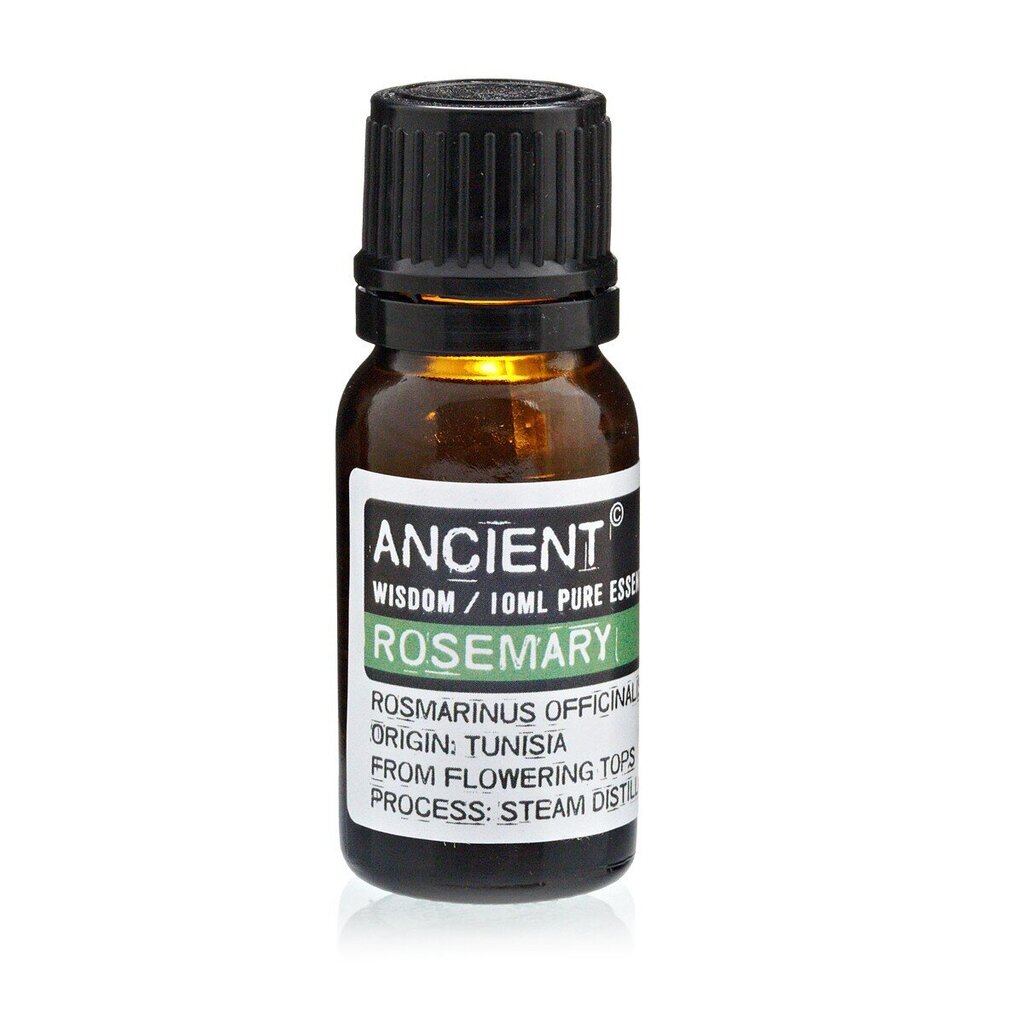 Rosmariini eeterlik õli Ancient, 10 ml цена и информация | Eeterlikud ja kosmeetilised õlid | kaup24.ee