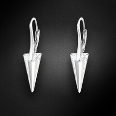 Naiste hõbedased kõrvarõngad DiamondSky "Smaile" Swarovski kristallidega hind ja info | Kõrvarõngad | kaup24.ee