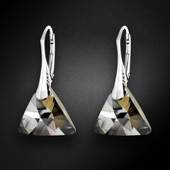 Naiste hõbedased kõrvarõngad DiamondSky "Osiris (Silver Night)" Swarovski kristallidega hind ja info | Kõrvarõngad | kaup24.ee