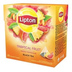 LIPTON тропический фруктовый чай, 20 шт цена и информация | Чай | kaup24.ee