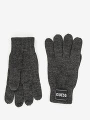 GUESS - Мужские перчатки AMU210POL02GRY_L цена и информация | Мужские шарфы, шапки, перчатки | kaup24.ee