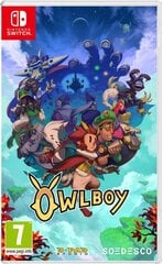 Owlboy PS4 цена и информация | Компьютерные игры | kaup24.ee