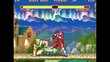 Street Fighter 30th Anniversary Collection PS4 цена и информация | Arvutimängud, konsoolimängud | kaup24.ee