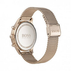 Boss Companion мужские часы цена и информация | Мужские часы | kaup24.ee