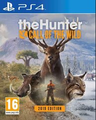 The Hunter: Call of the Wild 2019 Edition hind ja info | Arvutimängud, konsoolimängud | kaup24.ee