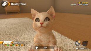 Little Friends: Dogs and Cats (Switch) цена и информация | Компьютерные игры | kaup24.ee