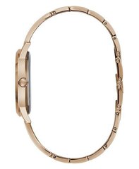 Часы Guess W1145L4 цена и информация | Женские часы | kaup24.ee