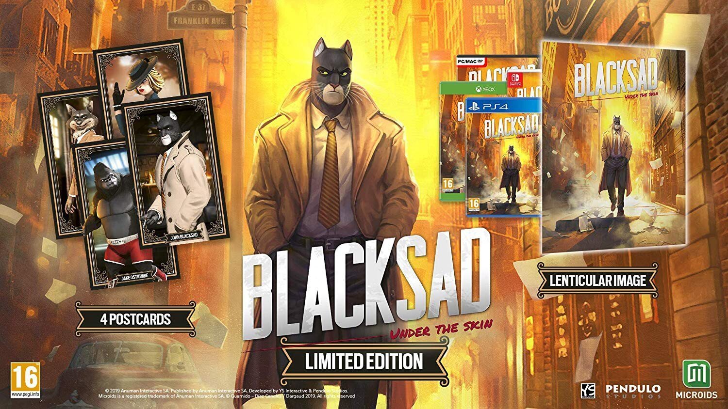 Blacksad: Under the Skin - Limited Edition PS4 цена и информация | Arvutimängud, konsoolimängud | kaup24.ee