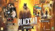 Blacksad: Under the Skin - Limited Edition PS4 цена и информация | Arvutimängud, konsoolimängud | kaup24.ee