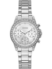 Женские часы Guess W1293L1 цена и информация | Женские часы | kaup24.ee