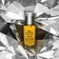 Rohkelt argaaniaõli sisaldav juukseeliksiir RICH Rejuvenating Argan Oil Elixir 70 ml hind ja info | Maskid, õlid, seerumid | kaup24.ee