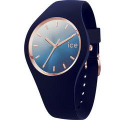 Часы Ice Watch 015751 цена и информация | Женские часы | kaup24.ee