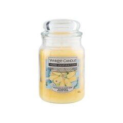 Yankee Candle lõhnaküünal Home Inspiration suur Lemon Lime Popsicle 538 g hind ja info | Küünlad, küünlajalad | kaup24.ee