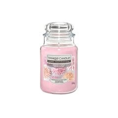 Yankee Candle lõhnaküünal Home Inspiration suur Sugared Blossom 538 g hind ja info | Küünlad, küünlajalad | kaup24.ee